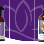 Aromapflege und Geruchsentfernung für natürlich frische Raumluft