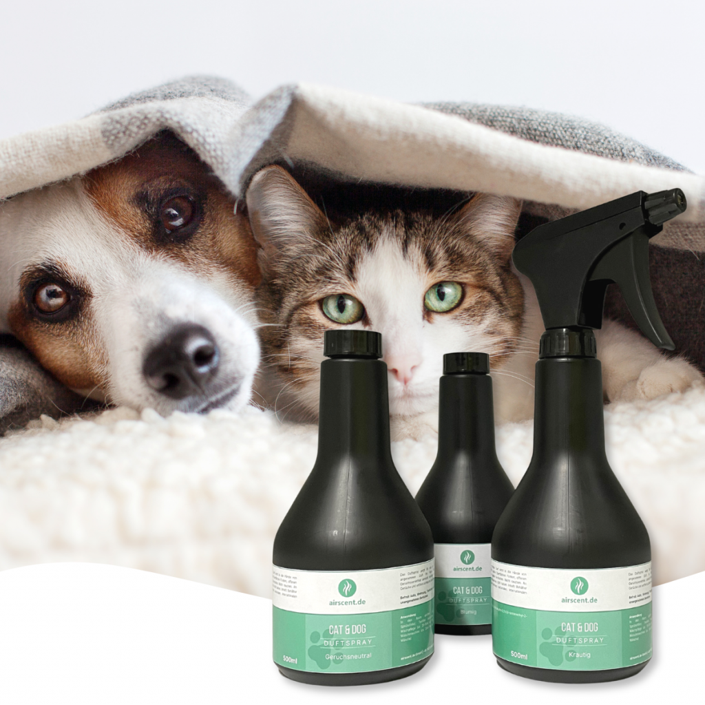 Geruchsentferner, Spray, Haustier, Hund, Katze